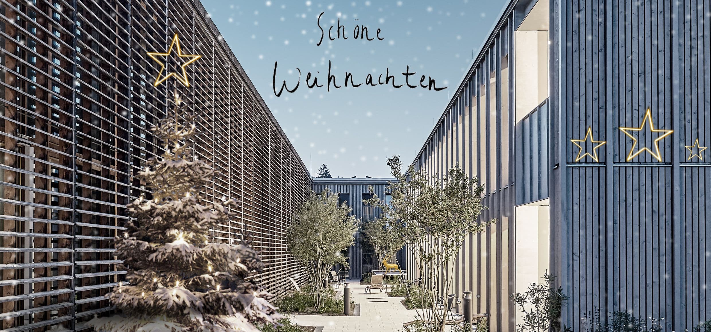 Weihgnachtskarte mgf 2025, ViTa